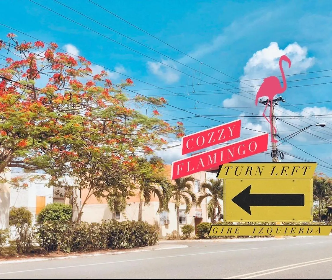Cozzy Flamingo Renta Vacacional Apartment Concepcion de La Vega